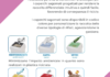 Contenitori per la raccolta differenziata Atlax